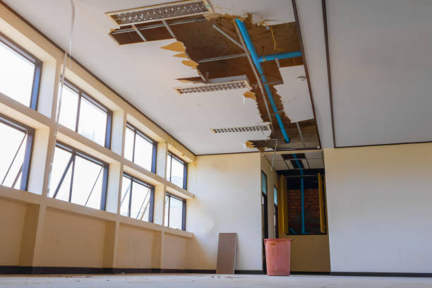 Best Water damage contractors near me  in Anahuac, TX