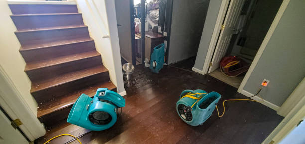 Best 24-hour water damage restoration  in Anahuac, TX