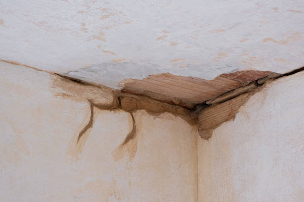 Best Ceiling water damage repair  in Anahuac, TX