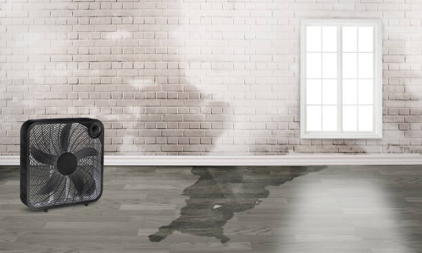 Best Ceiling water damage repair  in Anahuac, TX