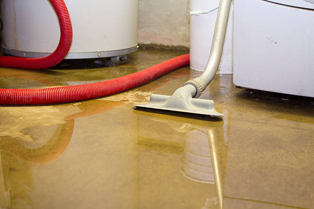 Best Water damage cleanup near me  in Anahuac, TX