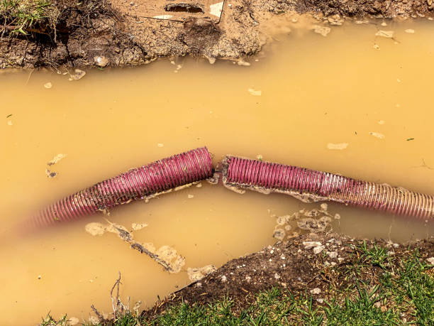 Best Carpet water damage restoration  in Anahuac, TX